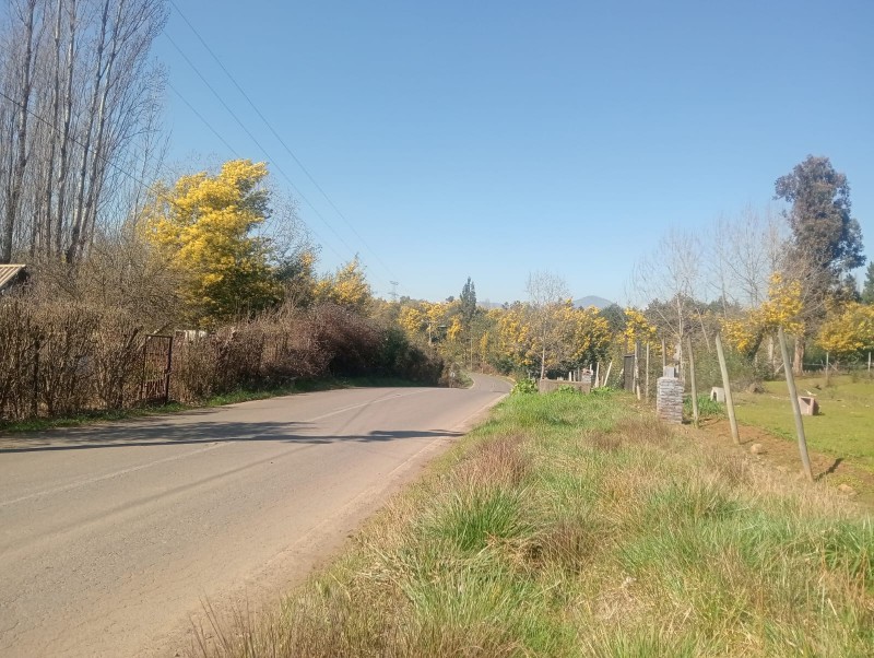 Se Vende Terreno + Casa en las Lomas de Putagán, Colbún