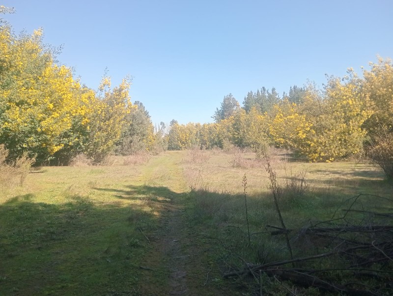 Se Vende Terreno + Casa en las Lomas de Putagán, Colbún