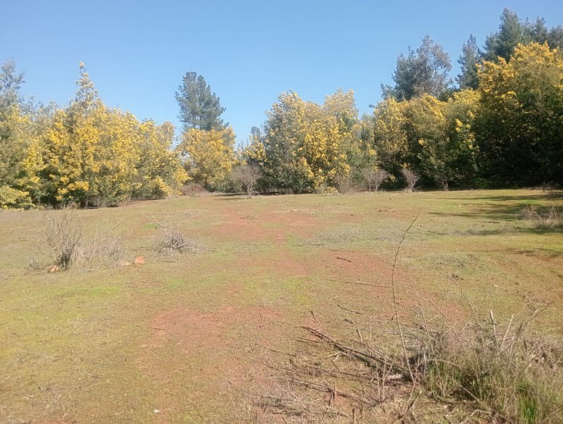 Se Vende Terreno + Casa en las Lomas de Putagán, Colbún