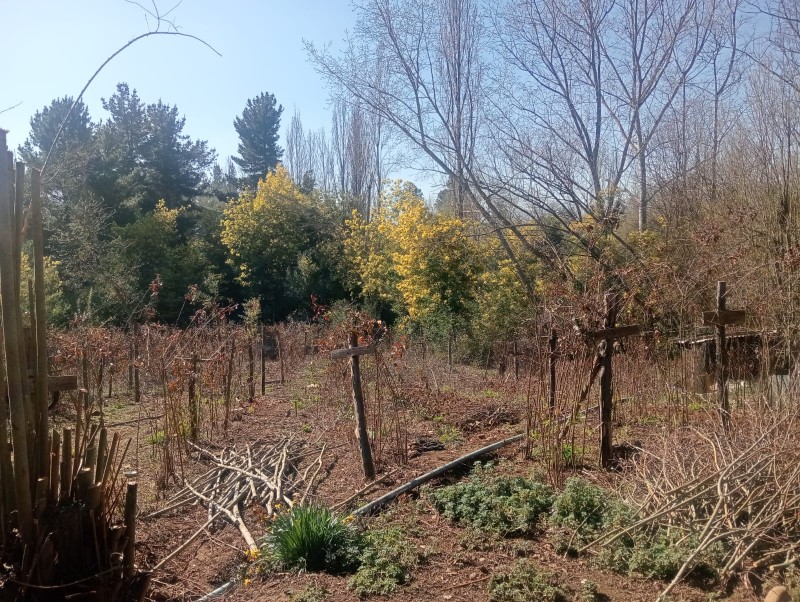 Se Vende Terreno + Casa en las Lomas de Putagán, Colbún