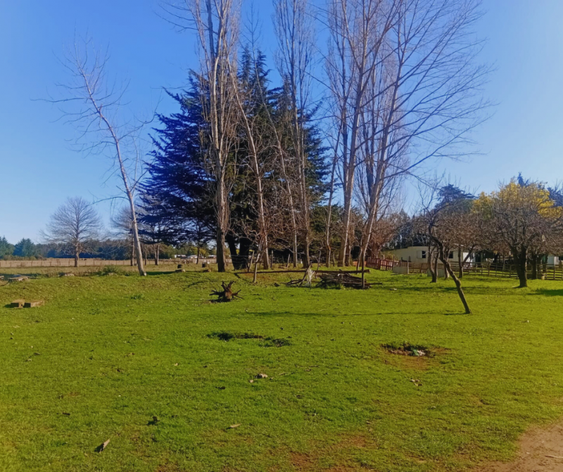 Terreno Agrícola