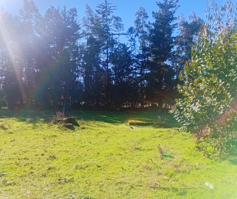 Terreno Agrícola