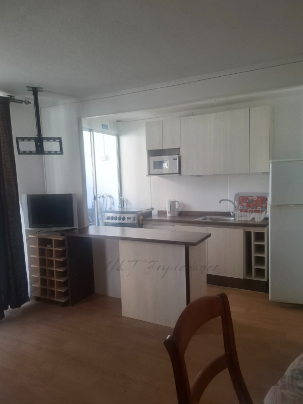 Hermoso Departamento en Sector Sur