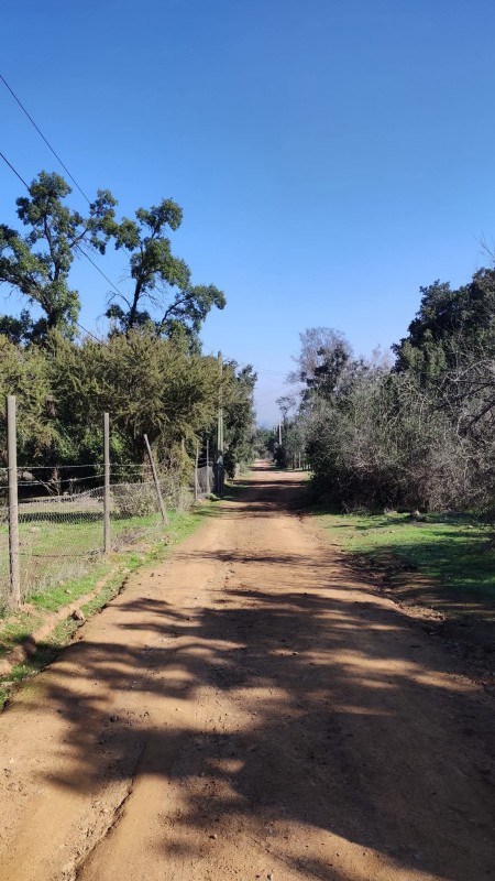 Vendo/permuto 80.000.000 Parcela 5.000M Culipran, Melipilla