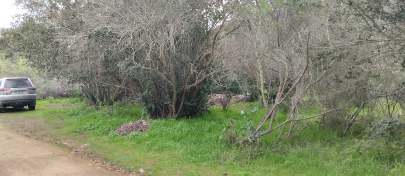 Vendo/permuto 80.000.000 Parcela 5.000M Culipran, Melipilla