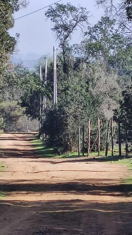 Vendo/permuto 80.000.000 Parcela 5.000M Culipran, Melipilla