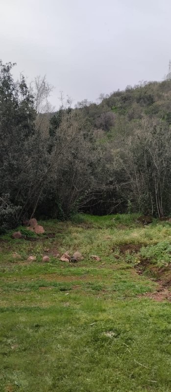 Vendo/permuto 80.000.000 Parcela 5.000M Culipran, Melipilla