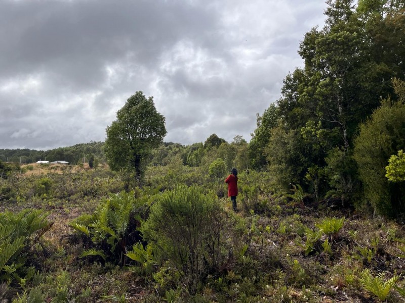 Parcela en Ancud, Coipomo