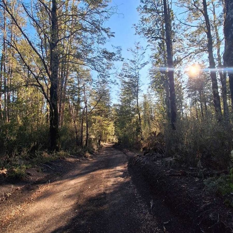 12Hectáreas en Parque los Volcanes,ensenada – Venta Directa