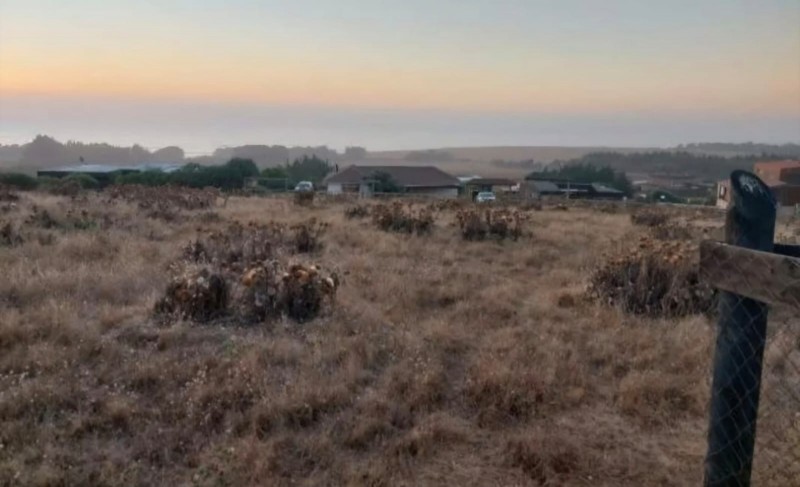 Vendo Terreno en Pangal