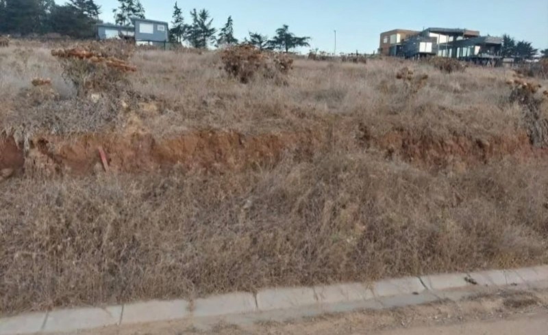 Vendo Terreno en Pangal