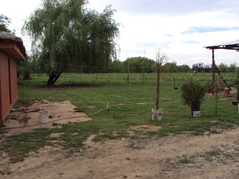 Vendo Casa en Parcela de 5,8 Has., Vara Gruesa Linares.