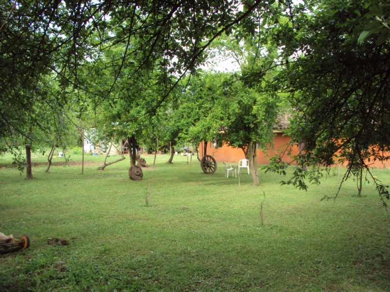 Vendo Casa en Parcela de 5,8 Has., Vara Gruesa Linares.