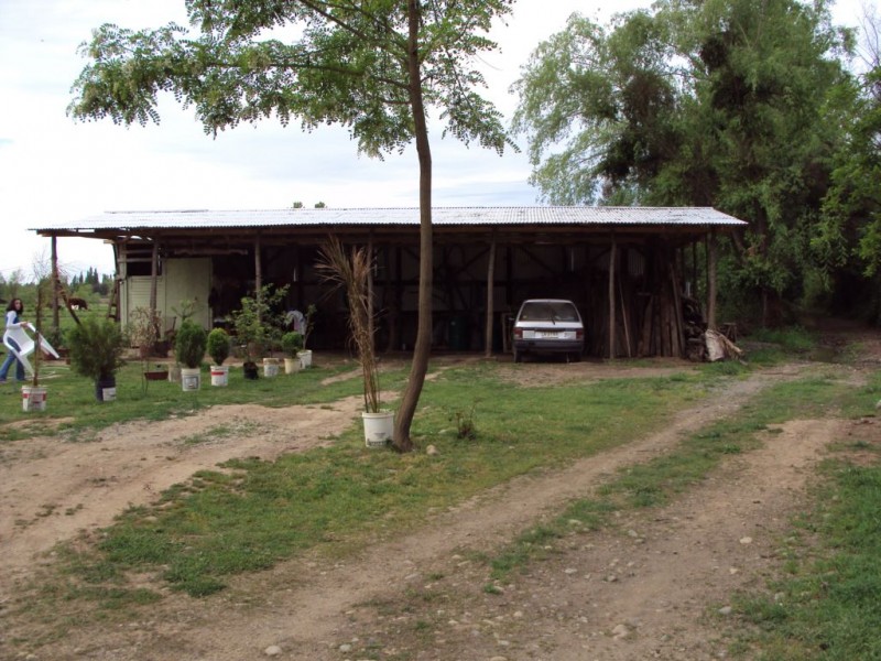 Vendo Casa en Parcela de 5,8 Has., Vara Gruesa Linares.