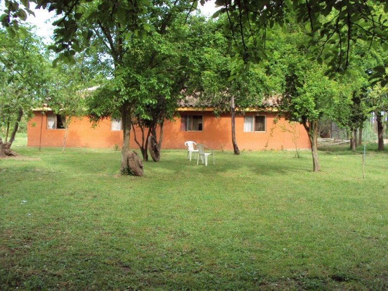 Vendo Casa en Parcela de 5,8 Has., Vara Gruesa Linares.
