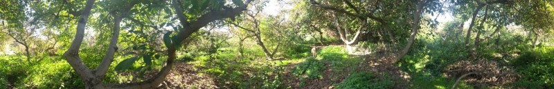 en Venta Parcela Ubicada en Manuel Córdova, Huerto Obrero