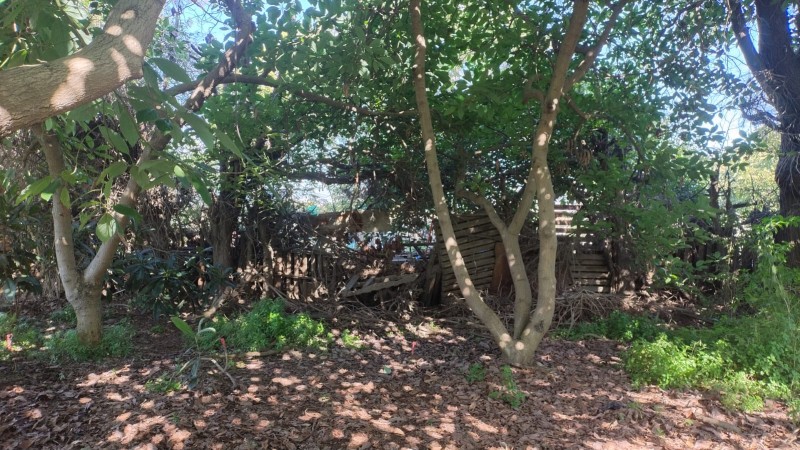 en Venta Parcela Ubicada en Manuel Córdova, Huerto Obrero
