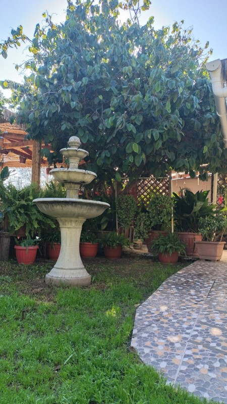 en Venta Parcela Ubicada en Manuel Córdova, Huerto Obrero