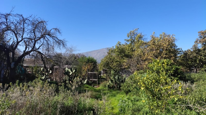 en Venta Parcela Ubicada en Manuel Córdova, Huerto Obrero