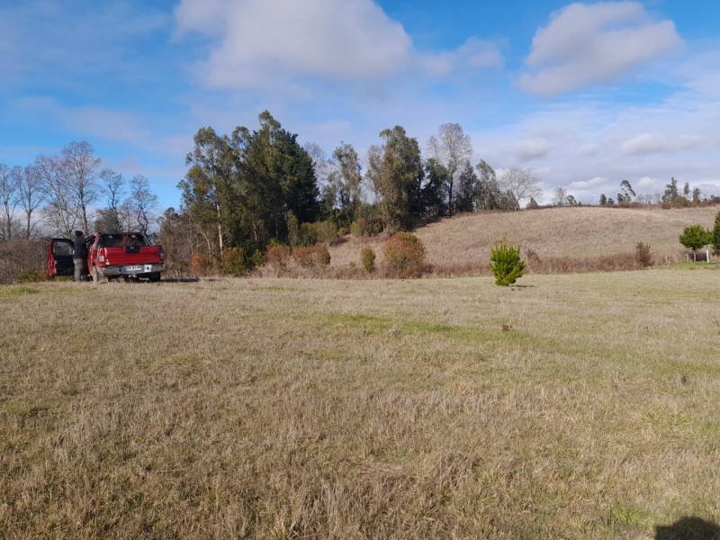 Se Vende Parcela de 5.000 M² en Polun–Sexta Faja, Pitrufquén