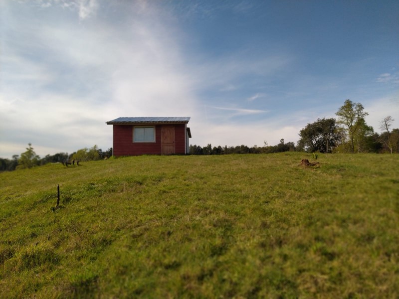 Se Vende Parcela de 5.000 M² en Polun–Sexta Faja, Pitrufquén