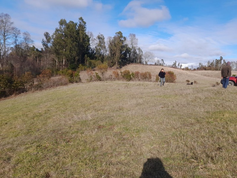 Se Vende Parcela de 5.000 M² en Polun–Sexta Faja, Pitrufquén