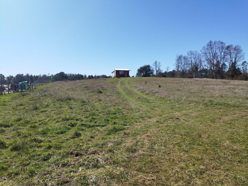 Se Vende Parcela de 5.000 M² en Polun–Sexta Faja, Pitrufquén