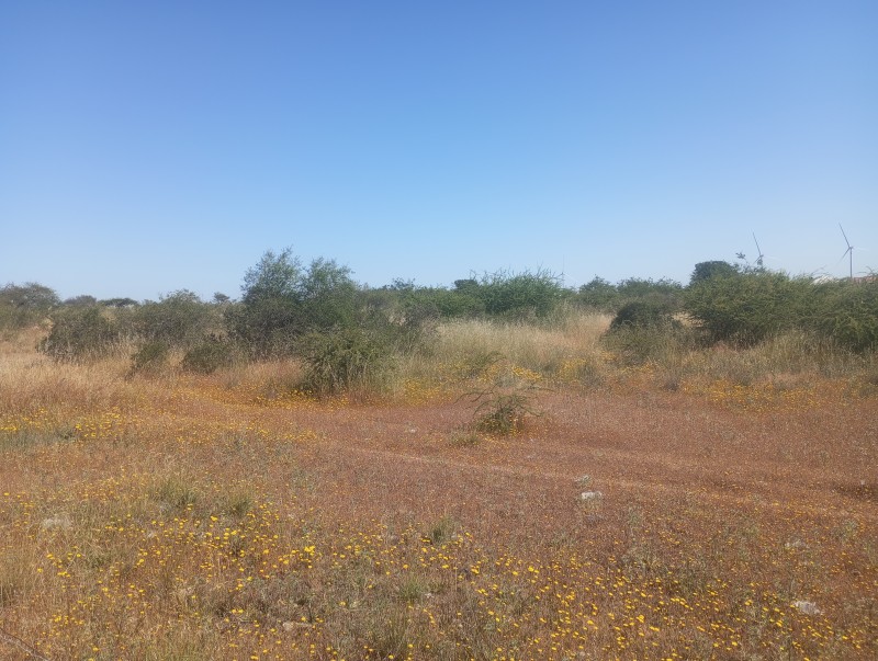 Terreno Rural Rol Propio