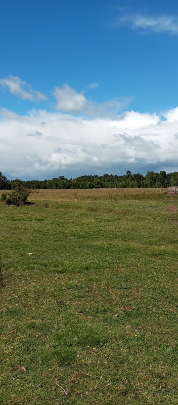 ¡oportunidad Única! Terreno Agrícola Productivo Con Acceso A