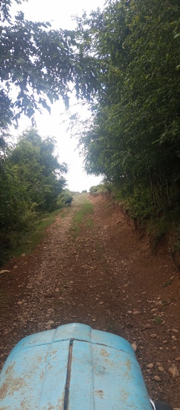 ¡oportunidad Única! Terreno Agrícola Productivo Con Acceso A