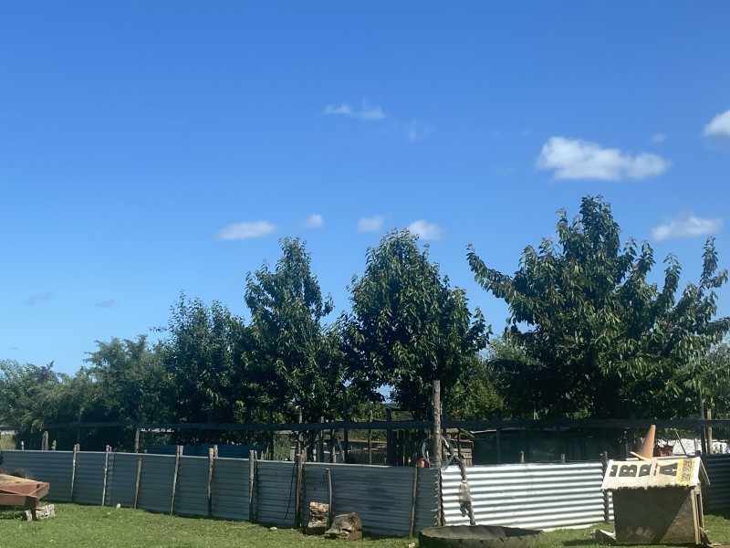 ¡oportunidad Única! Terreno Agrícola Productivo Con Acceso A