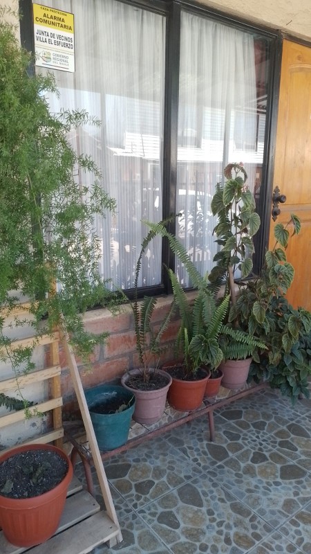 Venta de Casa (Ampliada y Regularizada)