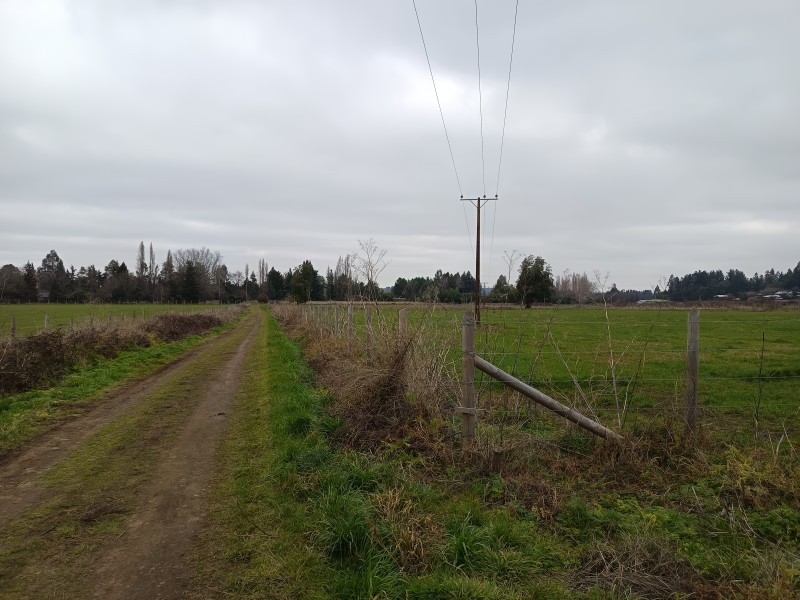 Terreno 5000M² Con Rol Propio, Agua y Factibilidad de Luz.