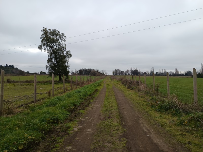 Terreno 5000M² Con Rol Propio, Agua y Factibilidad de Luz.