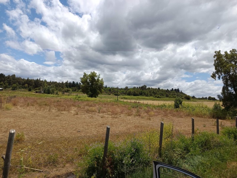 Terreno 5000M² Con Rol Propio, Agua y Factibilidad de Luz.