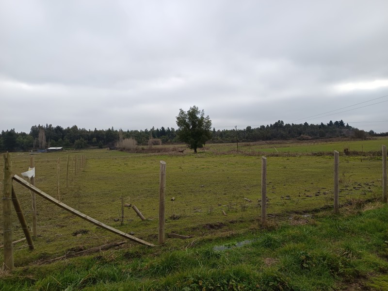 Terreno 5000M² Con Rol Propio, Agua y Factibilidad de Luz.