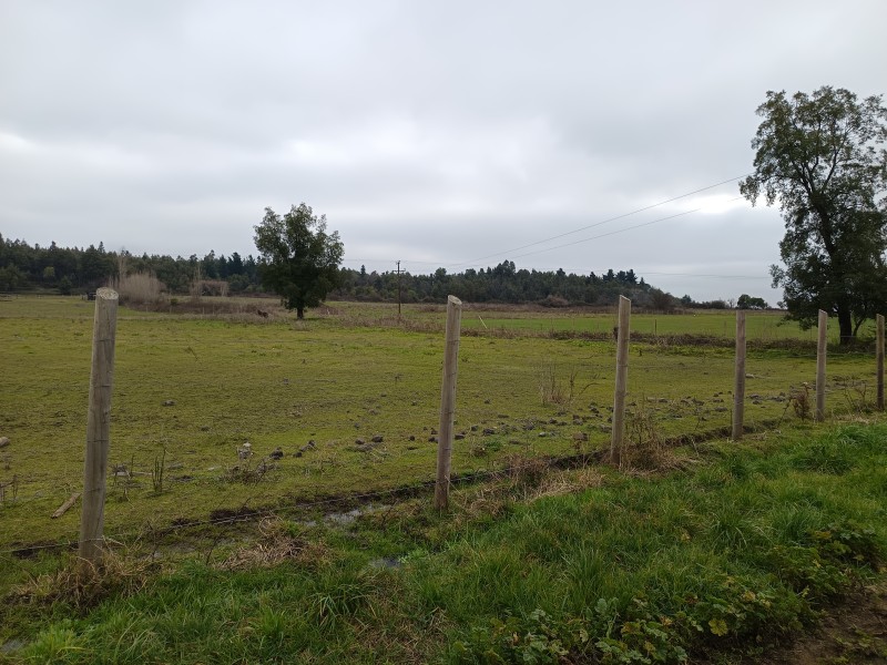 Terreno 5000M² Con Rol Propio, Agua y Factibilidad de Luz.