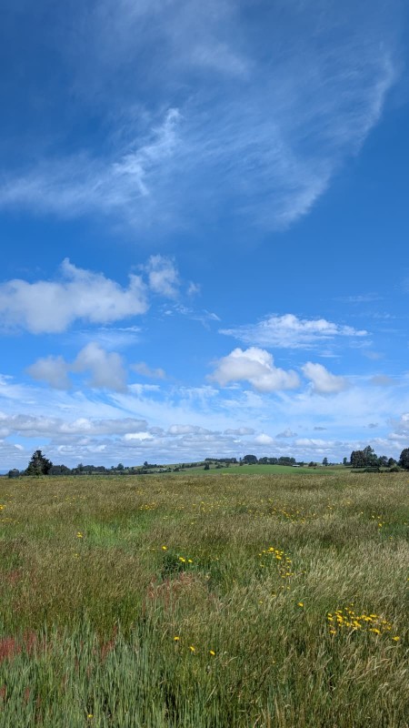 Vendo Terreno Con Gran Vista