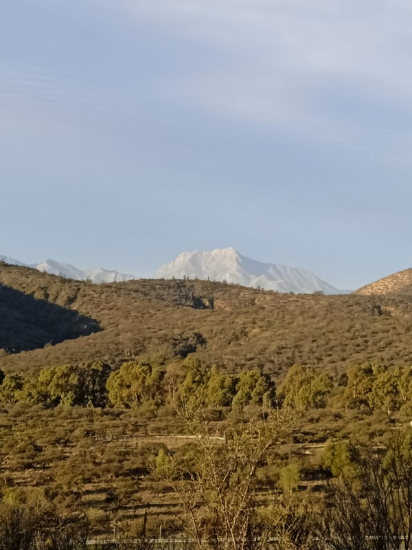 Venta de Parcela de 8 Hectáreas en Sector de Gran Plusvalía!