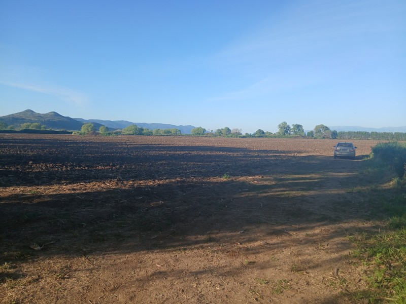 Buscas Campo Agrícola de 20 Ha, en Teno