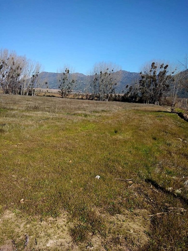 Buscas Campo Agrícola de 20 Ha, en Teno
