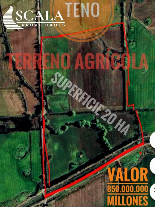 Buscas Campo Agrícola de 20 Ha, en Teno