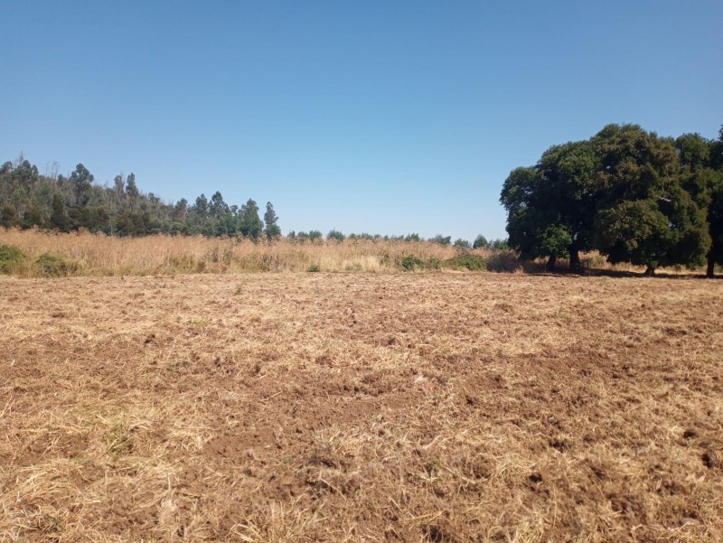 Se Vende Parcela en Mirador de Boyén – Chillán