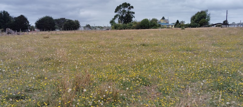 Parcela de Agrado Vendo , Chiloe, Comuna Ancud de 7500 Mts