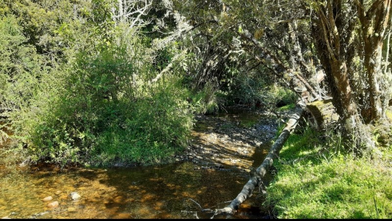 Parcela de Agrado Vendo , Chiloe, Comuna Ancud de 7500 Mts