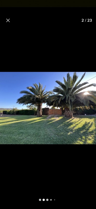 Gran Cabaña Con Piscina, Terraza y Muchos Árboles y Pájaros