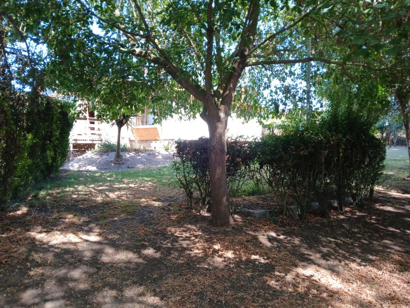 Gran Cabaña Con Piscina, Terraza y Muchos Árboles y Pájaros