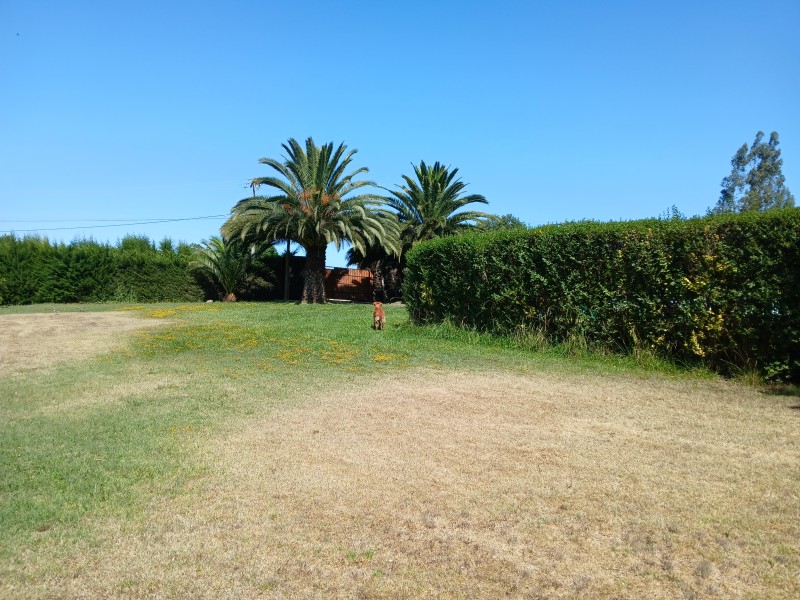 Gran Cabaña Con Piscina, Terraza y Muchos Árboles y Pájaros