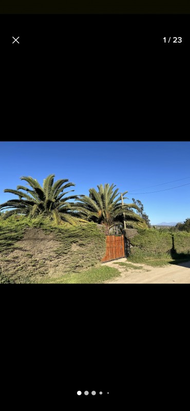 Gran Cabaña Con Piscina, Terraza y Muchos Árboles y Pájaros
