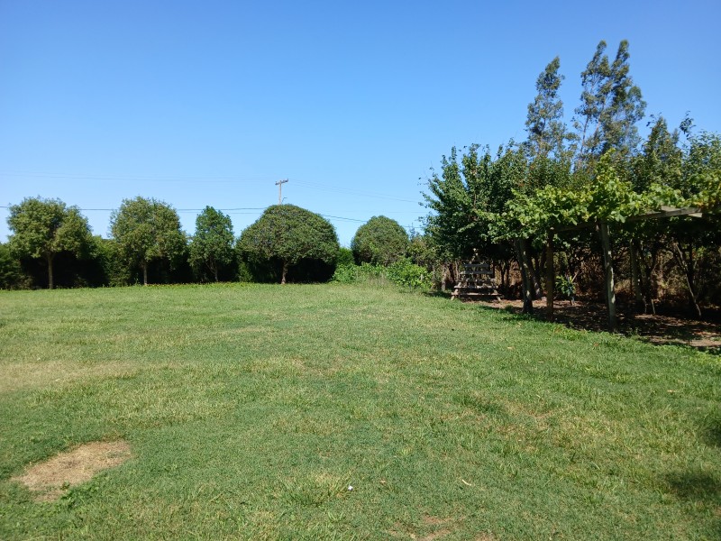 Gran Cabaña Con Piscina, Terraza y Muchos Árboles y Pájaros